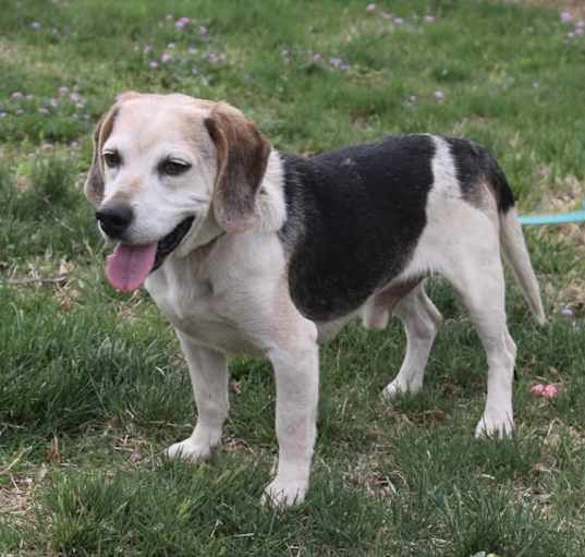 Photo of Murphy