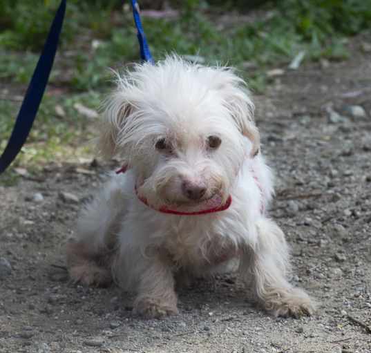 Photo of Sugar