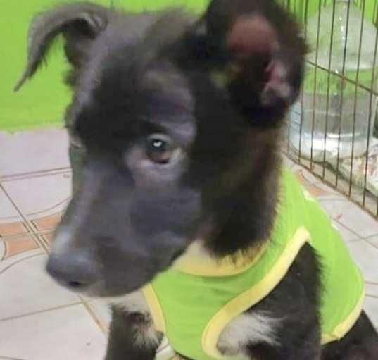 Photo of OSO
