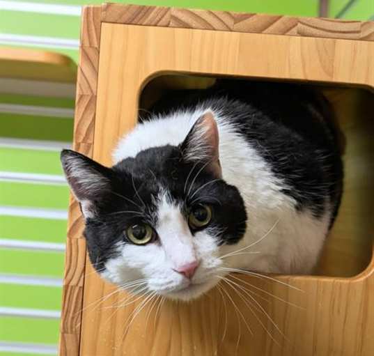 Photo of LULU