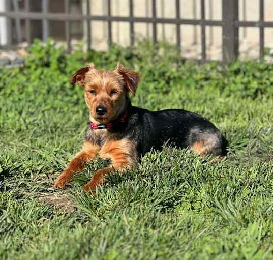 Photo of Thumper