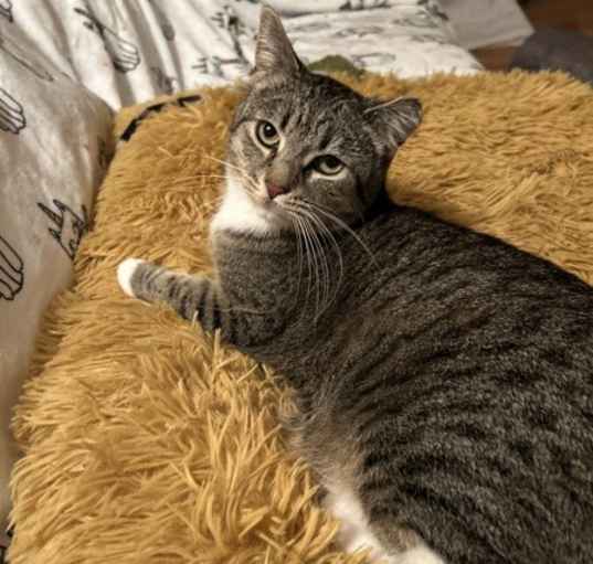 Photo of Sassy