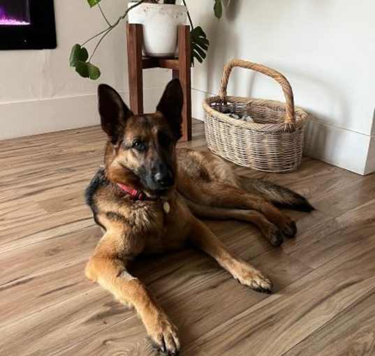 Photo of Scout P