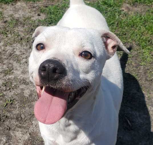 Photo of Belle