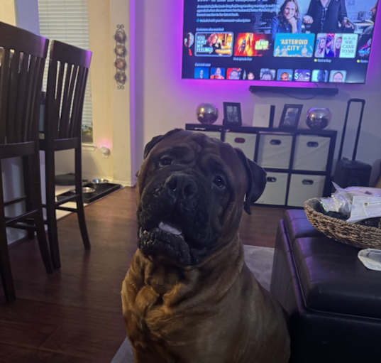Photo of Huey