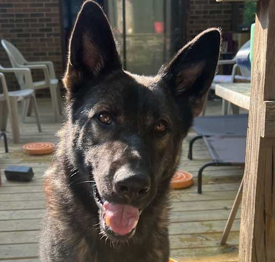 Photo of Jax