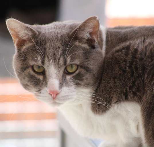 Photo of Kenneth
