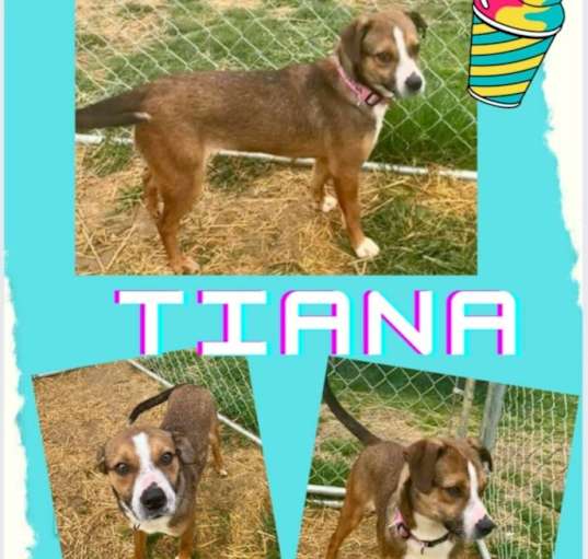 Photo of Tiana