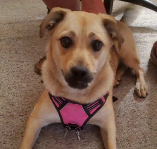 Photo of Freya