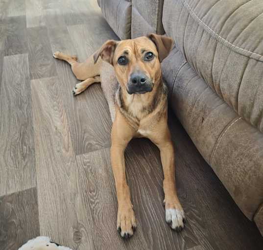 Photo of Lilly