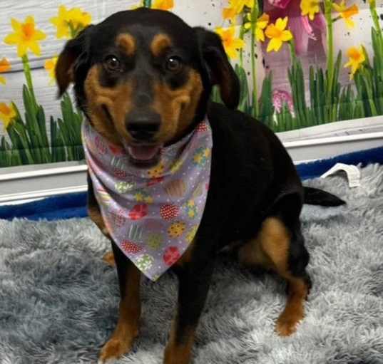 Photo of Whoopie