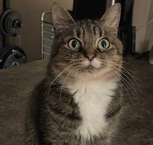 Photo of Jeffrey