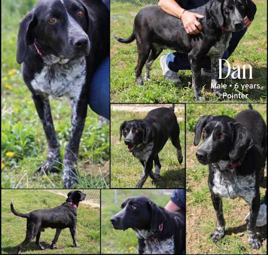 Photo of Dan