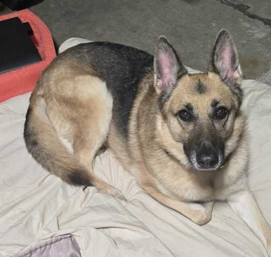 Photo of Sookie