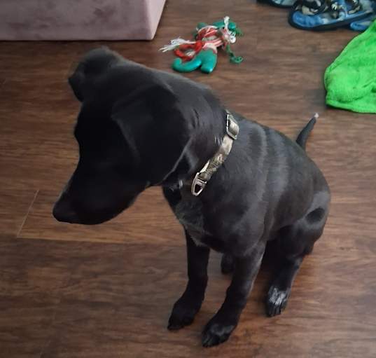 Photo of Bane