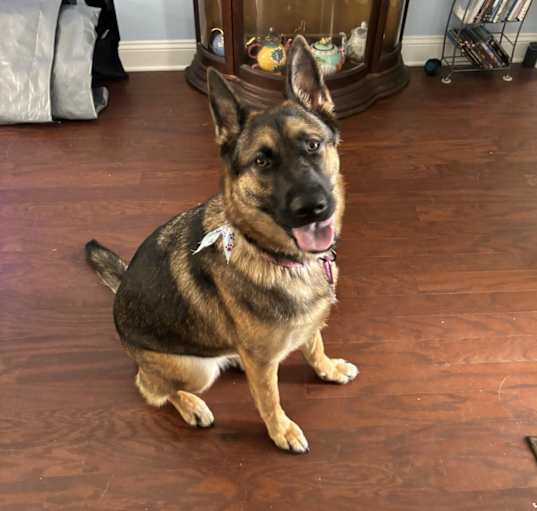Photo of Sasha