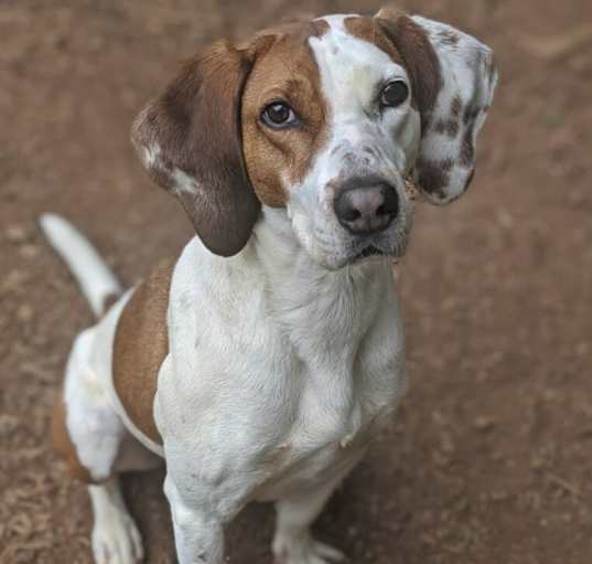 Photo of Kingsley