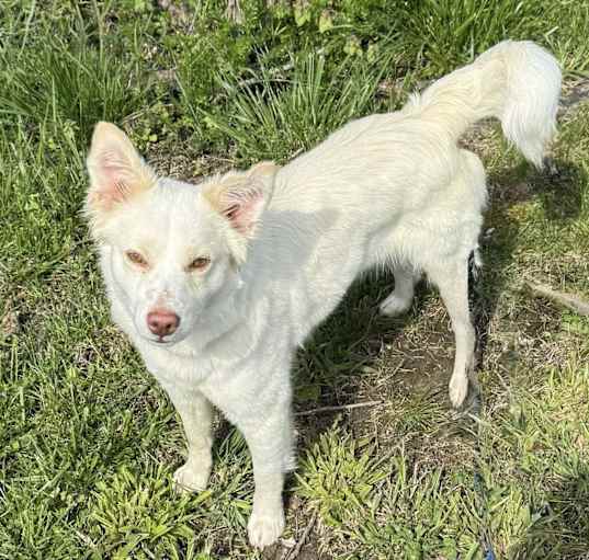 Photo of Huck Finn