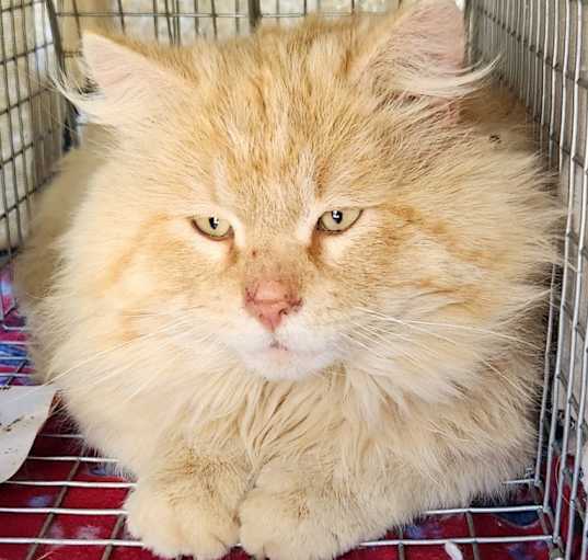 Photo of Murphy