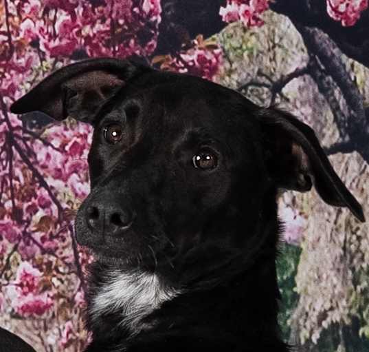 Photo of Ella