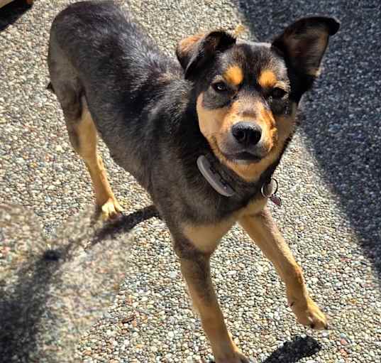 Photo of Lily