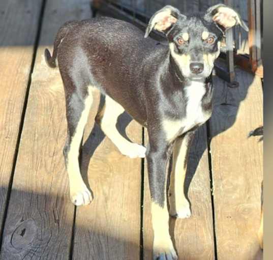 Photo of Winslee
