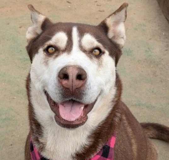 Photo of MAYA