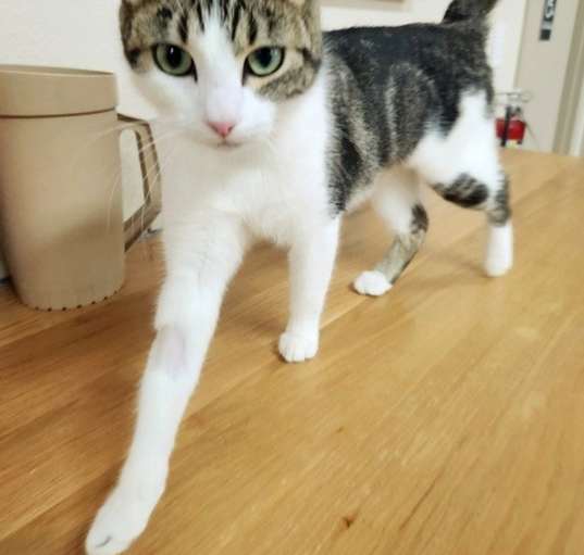 Photo of Kiki