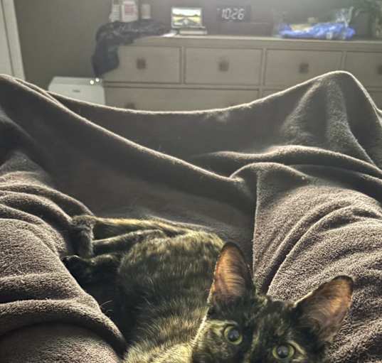 Photo of Lady