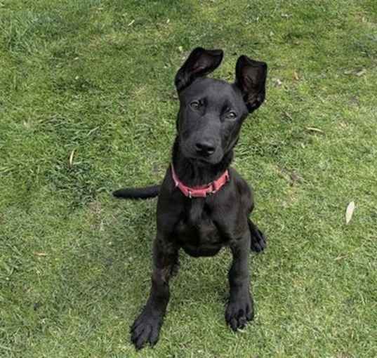 Photo of TINA
