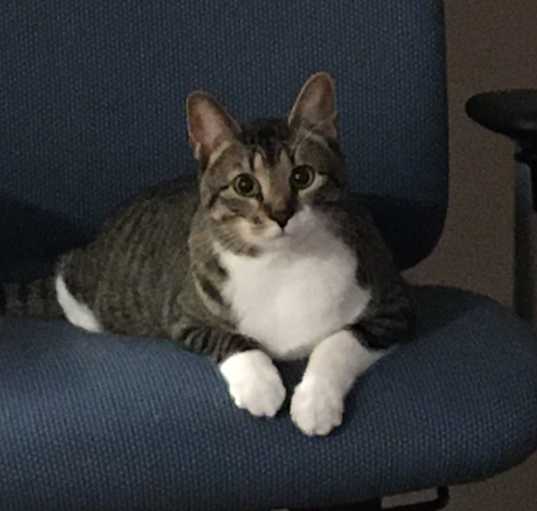 Photo of Allie