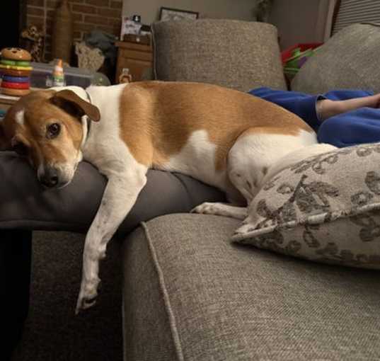 Photo of DOUG
