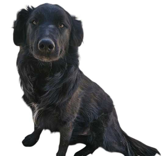 Photo of CIAO