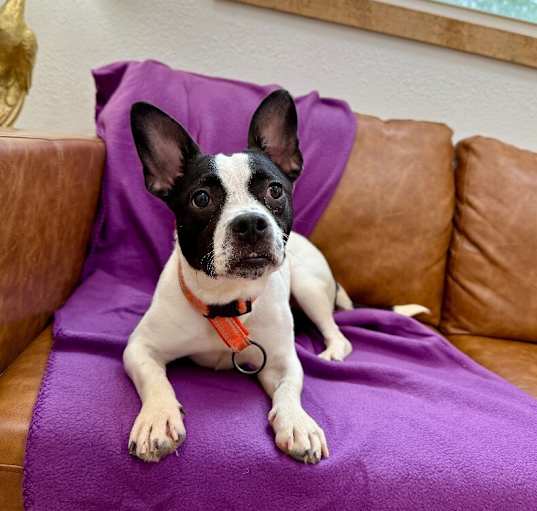 Photo of Axel