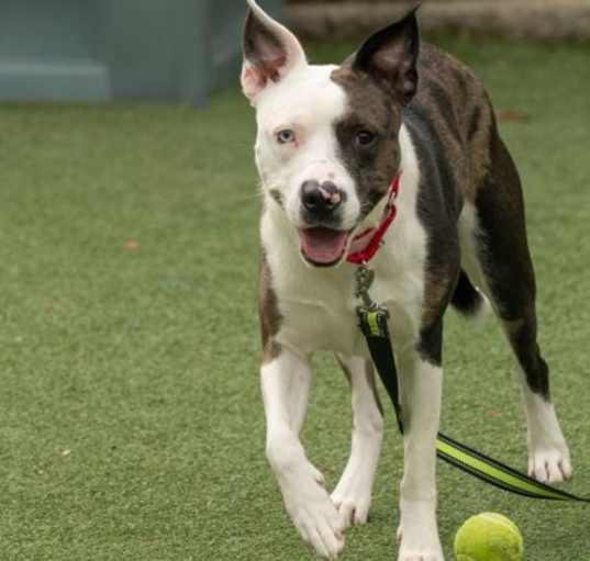 Photo of Cash