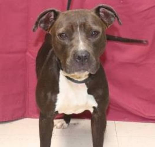 Photo of Remi