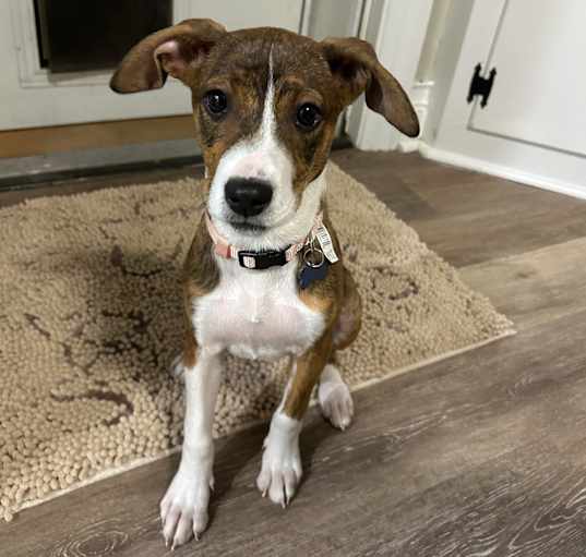Photo of Lyla