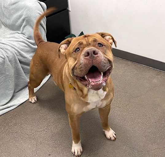 Photo of Zeus