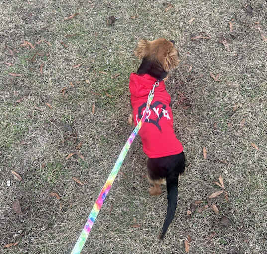 Photo of Zoe