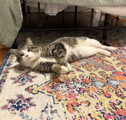 Photo of Kevin