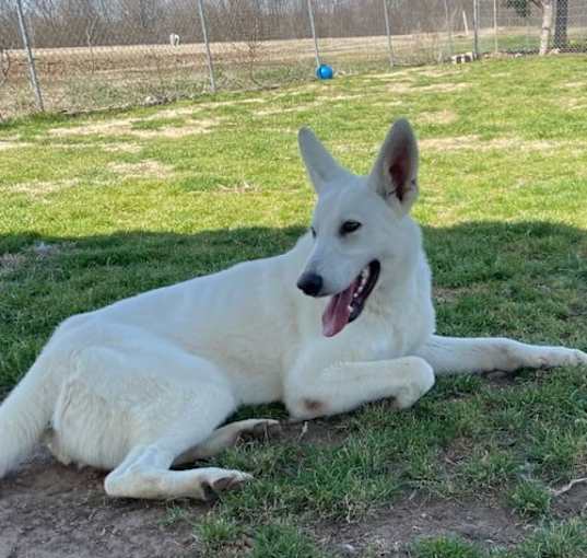 Photo of Jax
