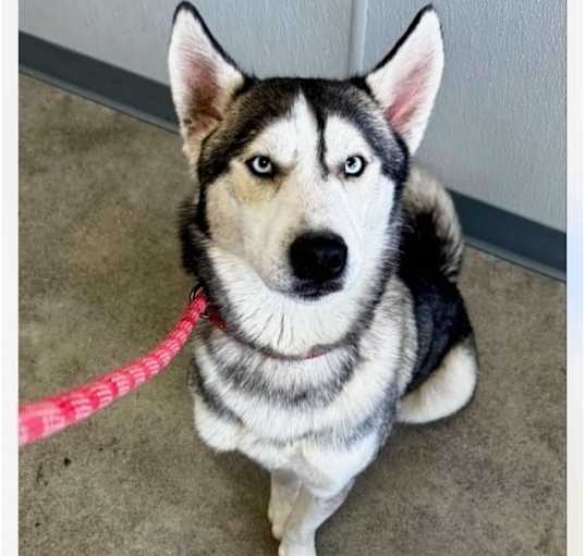 Photo of Zoom