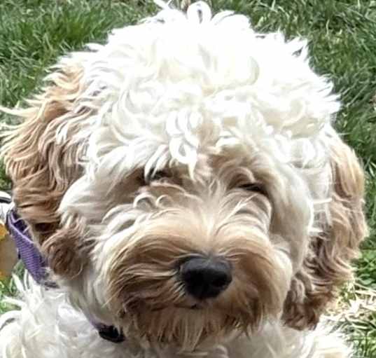 Photo of SPROUT