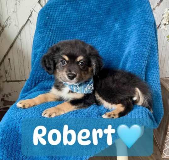 Photo of Robert