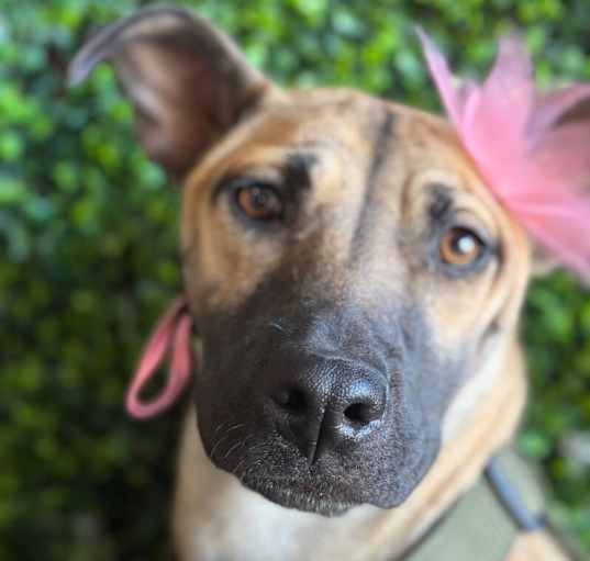 Photo of Sally