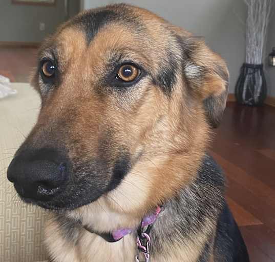 Photo of Zoe