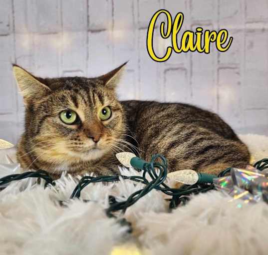 Photo of Claire