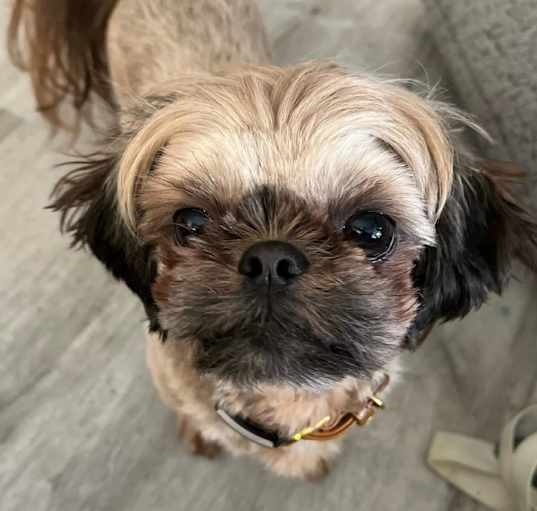 Photo of Boudreaux