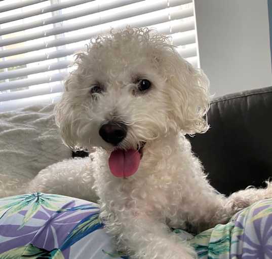 Photo of Charlie