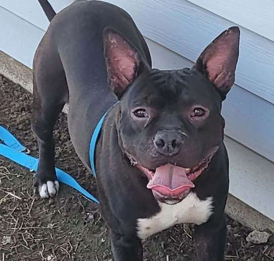 Photo of Wayne